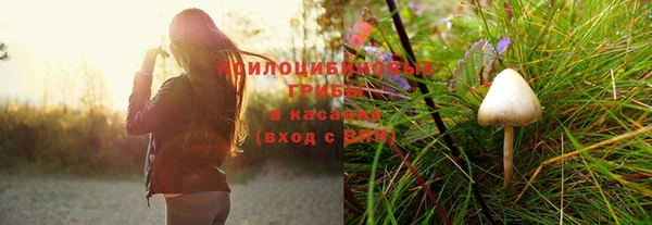 винт Алексин
